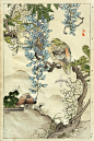Bairei Flower and Bird Prints 1899 -- TOPIT.ME 收录优美图片