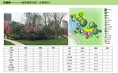 SSSSSSSSSSONG采集到植物平面图