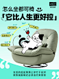@林氏家居 的个人主页 - 微博
