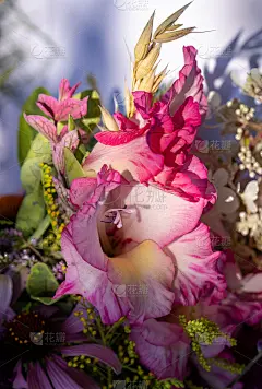 传统的花束，草药和水果是夏天的象征