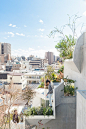 东京树巢居（Tree-Ness House）集合住宅 - 灵感日报 :   日本建筑师Akihisa Hirata近日在东京Otsuka区完成了一座集合住宅项目——树巢居（Tree-Ness House）。建筑师希望探索一种都市中建筑与自然间的亲密关系。由于用地的进深很长，宽度很窄，所以设计师采用了一种竖向有机分层系统，使得空间在三…