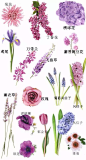 来自相册