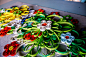Just Quilling Time : I love the versatility of paper, I had no clue what paper quilling was when I first started out... And I still don't know what I am doing. I don't know what I am making yet.... Suggestions are welcomed.Dankie