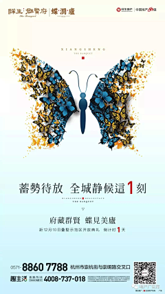 陌朮采集到板式