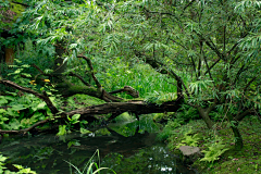 T的3次方采集到风景