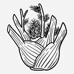 茴香食物蔬菜图标 页面网页 平面电商 创意素材