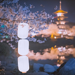 °百褶裙的夏天°采集到..
