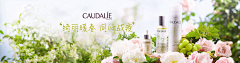 芝麻小丸子采集到绿色banner