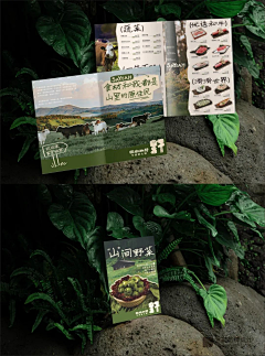 TH沙发采集到餐饮vi设计