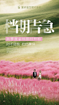 档期 告急