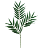 28' Phoenix Palm Branch x3 w/39 Leaves -- More info could be found at the image url.