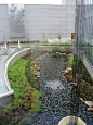 Rain garden in the lobby of the National Oceanic and Atmospheric Administration, College Park, Maryland. Rainwater collected on roof flows down column of stainless steel cables and terminates in a precast concrete basin.: