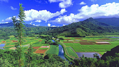 听风窃语11采集到风景背景