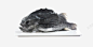 食用海参斑鱼 免抠png 设计图片 免费下载 页面网页 平面电商 创意素材