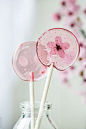 Selbst gemachte Kirschblüten-Lutscher | Stocksy United - #Blossom #Cherry #cherryblo ...