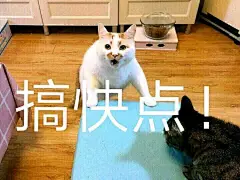 你都存了哪些沙雕表情包？ - 知乎 : 之前不知道咋搞的总去不了水印，这次终于去掉了！嘻嘻我已经悄然跻身于本答案前二十名没想到知乎获得最高…