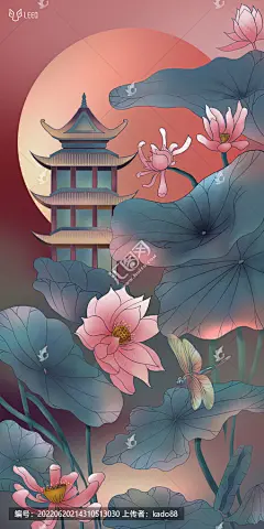 国风荷花插画