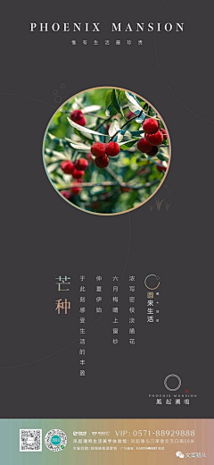 花犹诗织采集到节日海报