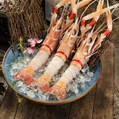 沃派 新西兰鳌虾 scampi斯干比 活冻日料刺身虾 2号 1kg 盒装 11-15只 生鲜水产 送礼佳品