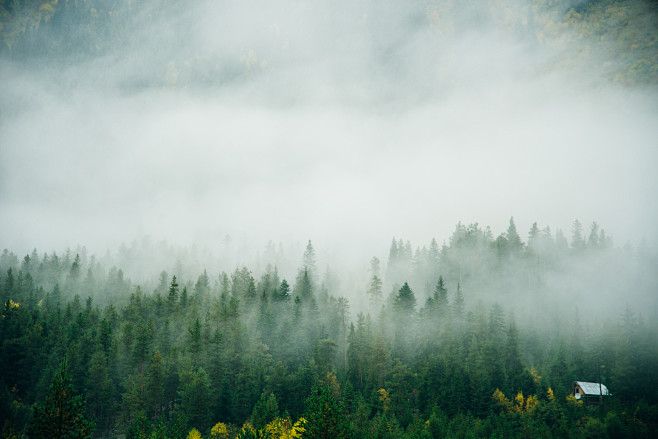 misty-landscape-with...