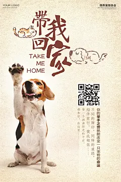 宠物领养宣传海报