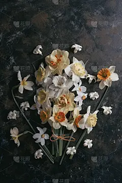 束黄水仙。花组成。可以作为卡片使用。副本的空间。静物壁纸