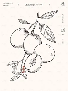 缺素材的看过来丨国风青枣插画集商用下 - 小红书