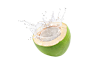 coconut-juice-splashing-isolated-white-background_252965-1123