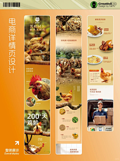 环贵人采集到详情