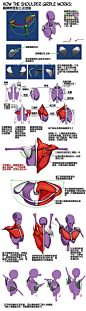 #绘画学习#   【有关人体肩胛带运动的方式】脖子与肩部连接处的肌肉揭破运动，果然人体是大问题！（cr：Nemo Filipovic ） #俺们都是设计师#