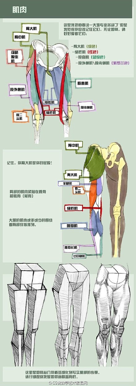 【教程】#汉化教程#CG窝汉化教程#