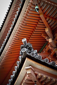 小美慧采集到建筑