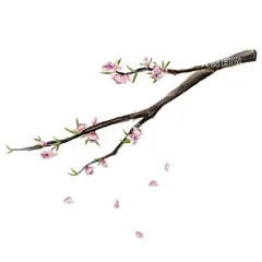 桃花  - 源文件下载【酷图网】花瓣底纹,卡通花朵,矢量花朵,花朵花瓣,桃花,樱花,梅花,桃花瓣,梅花瓣,桃花花瓣,梨花花瓣,矢量花瓣,矢量卡通花瓣,粉色花瓣,粉色花朵,红色花瓣,红色花朵,花瓣素材,花瓣元素,花瓣背景,花朵,花朵素材,花朵元素,花朵背景,手绘花瓣,樱花瓣,樱花花瓣,玫瑰花,玫瑰花花瓣,玫瑰花瓣,花瓣剪影,婚礼花瓣