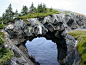 The Berryhead Arch Newfoundland