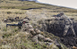 The Household Division on the Onion Range, Falklands : Pictured, firing from cover using an SA-80 and Light Support Weapon are troops from The Household Division, training thousands of miles from home on the infamous Onion Ranges in the Falklands.  The On