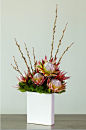 Modern King Protea, and Pussy Willow arrangement.: 