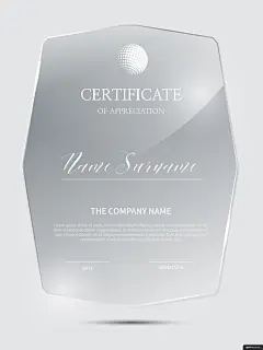 几何边框 授权证书 任命书 荣誉证书 简约 亚克力 证书卡片名片平面设计