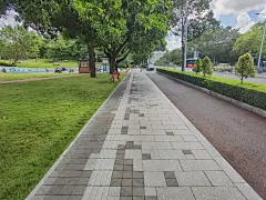 人行道升级改造，“绘制”美丽山海线！|人行道|公园|绿化带|金岭|面砖_手机网易网