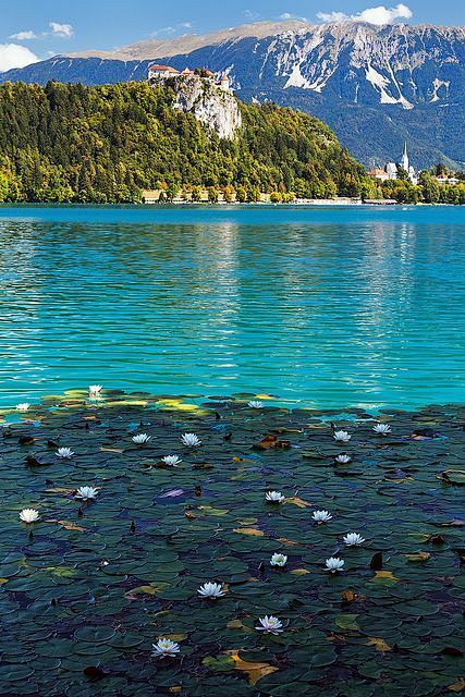 Lake Bled, Slovenia 