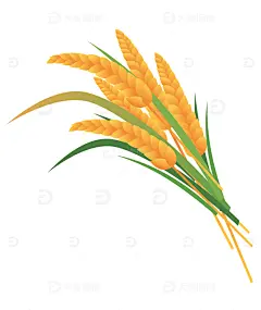 扁平风麦穗矢量插画高清模板免费下载-趣麦麦图