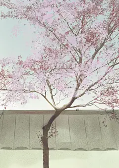 「 作者' 符殊 」