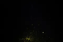 颗粒素材碰撞激烈背景高端彩色粉尘素材爆炸粉末爆炸抽象高端微粒子818A8731 – 饿狐背景网站-微距高清设计素材免费图片下载海报壁纸摄影背景素材，背景图，背景墙，背景板，背景图片，背景纹理，背景板设计，背景材质，背景大图