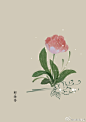 #365天生日花#  <br/>4月16日 郁金香 (Tulip) <br/>花语 : 美哞