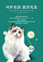 麦富迪猫粮1.5kg美短英短蓝猫鱼油成猫粮增肥发腮美毛明目天然粮-tmall.com天猫