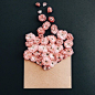 【乌克兰艺术家Anna Remarchuk摄影作品】—— 一叠旧信封，一捧鲜花瓣。采撷四季的芬芳，装进信封，寄给你．．．«✉️»«✉️» «✉️»«✉️»