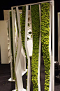 植物绿墙 · 让城市“绿”起来