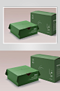 AI数字艺术极简绿色礼盒包装盒样机模型-众图网