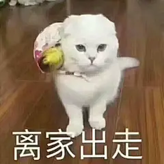 【图片】各种猫表情包_表情包吧_百度贴吧