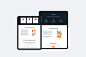 Cellebrite: Visual design system evolution : Visual identity, illustrative style guides and web design systems evolution made for Cellebrite.