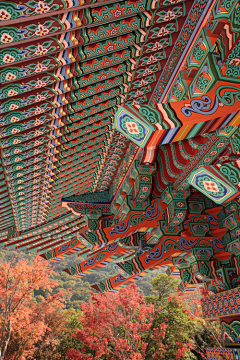 许蚊子采集到手绘参考素材